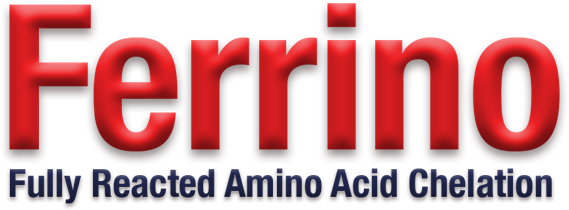 FerrinoLogo